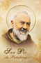 Obrázok v púzdre: sv. páter Pio (634A)