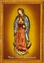 Obrázok: Zasvätenie rodiny Panne Márii Guadalupskej
