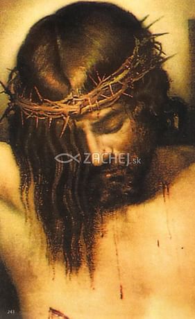 Obrázok: Modlitba k plecovej rane Pána Ježiša