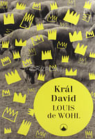 Král David