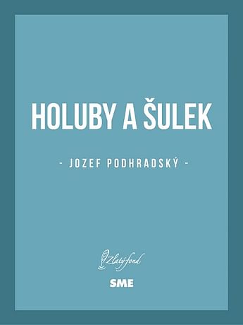 E-kniha: Holuby a Šulek