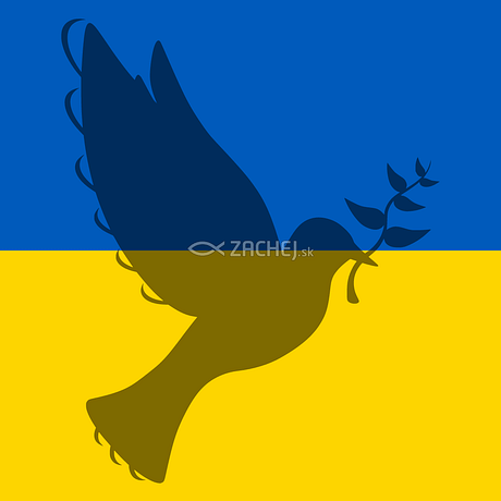 Pomoc pre Ukrajinu