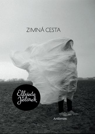 E-kniha: Zimná cesta