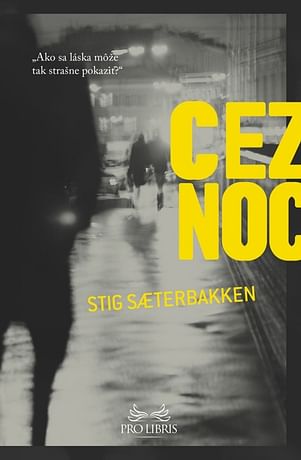 E-kniha: Cez noc