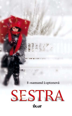 E-kniha: Sestra