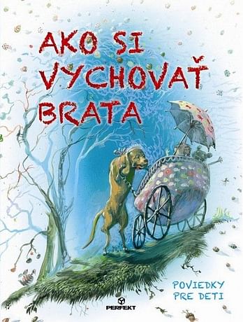 E-kniha: Ako si vychovať brata