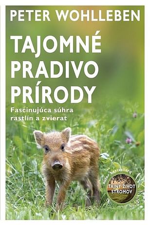 E-kniha: Tajomné pradivo prírody