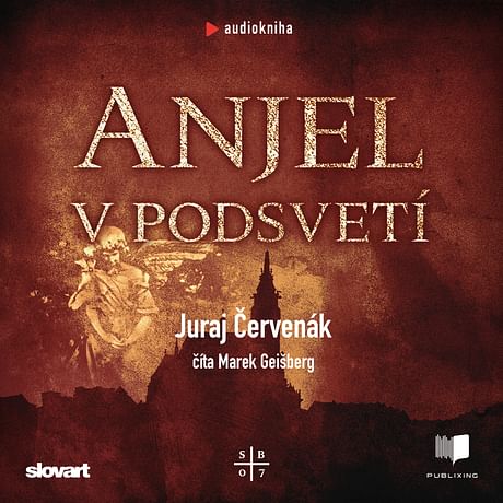 Audiokniha: Anjel v podsvetí