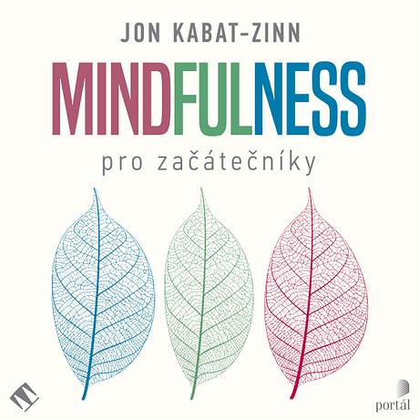 Audiokniha: Mindfulness pro začátečníky