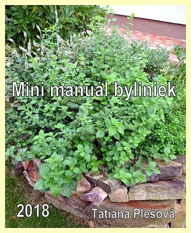 E-kniha: Mini manuál byliniek