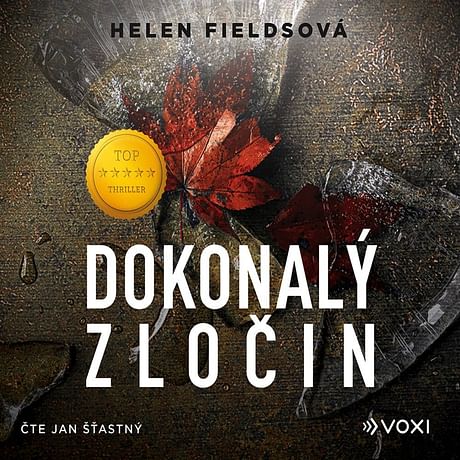 Audiokniha: Dokonalý zločin