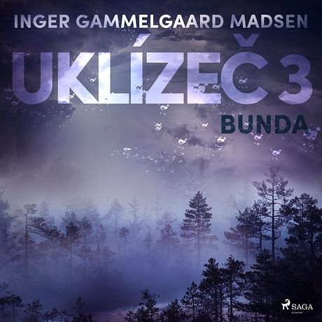 Audiokniha: Uklízeč 3: Bunda