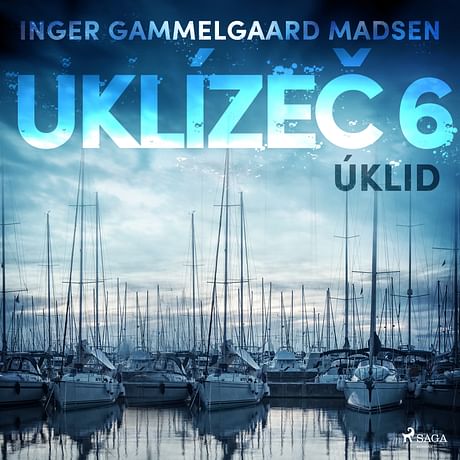 Audiokniha: Uklízeč 6: Úklid