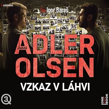 Audiokniha: Vzkaz v láhvi