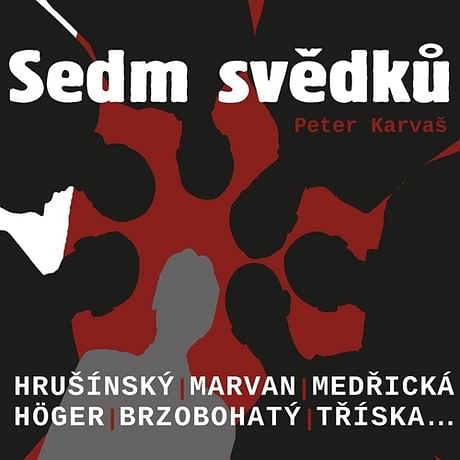 Audiokniha: Sedm svědků