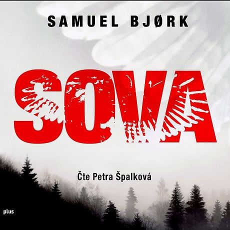 Audiokniha: Sova