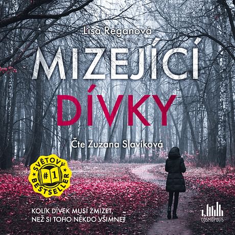 Audiokniha: Mizející dívky