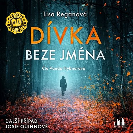 Audiokniha: Dívka beze jména