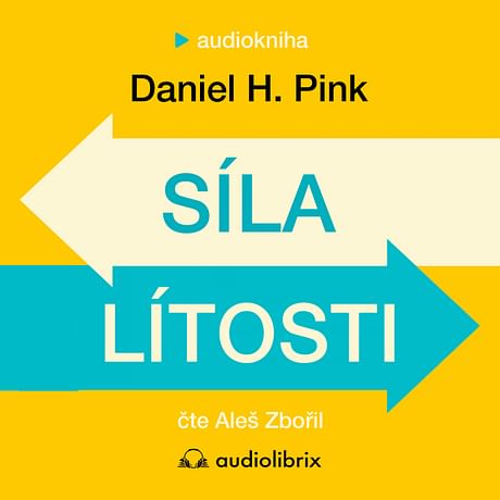 Audiokniha: Síla lítosti