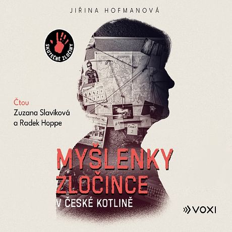 Audiokniha: Myšlenky zločince v české kotlině