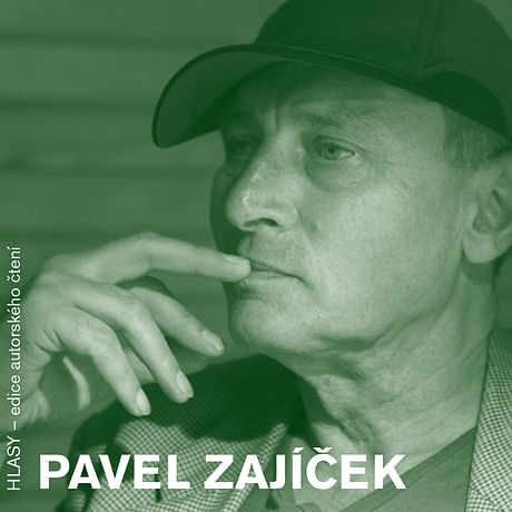 Audiokniha: HLASY - Pavel Zajíček