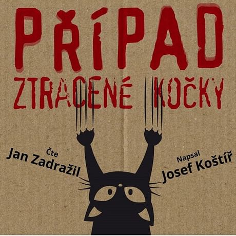 Audiokniha: Případ ztracené kočky