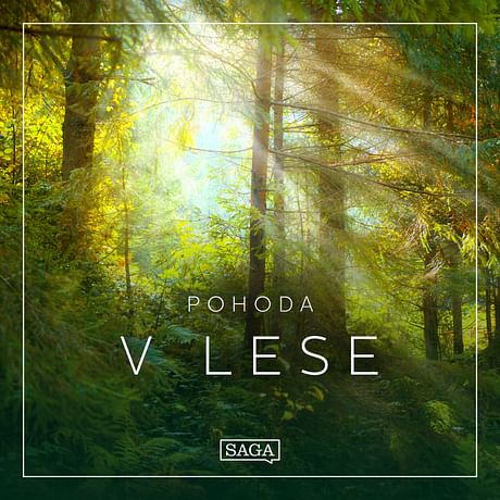 Audiokniha: Pohoda – V lese