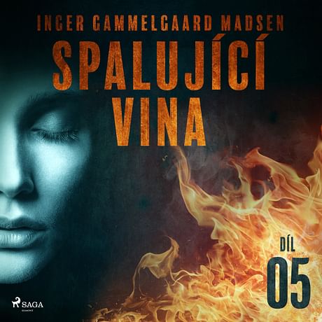 Audiokniha: Spalující vina - 5