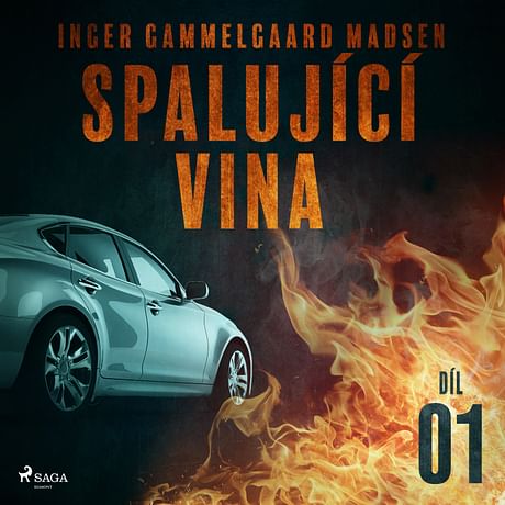 Audiokniha: Spalující vina - 1