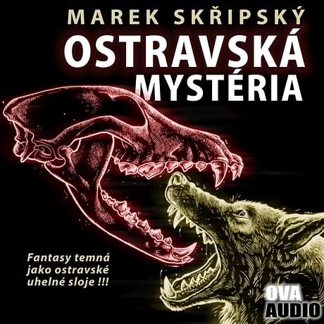 Audiokniha: Ostravská mystéria