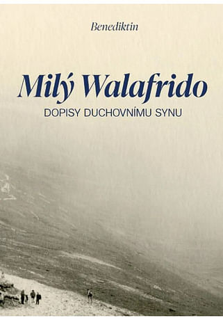 Milý Walafrido