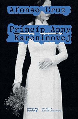 E-kniha: Princíp Anny Kareninovej
