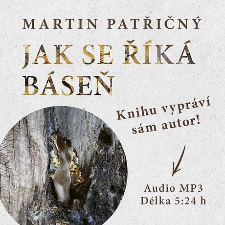 Audiokniha: Jak se říká báseň