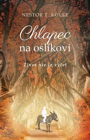 E-kniha: Chlapec na oslíkovi
