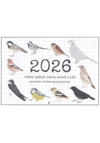 Kalendár: Vtáky, nástenný - 2026