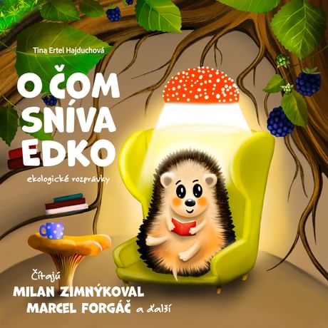 Audiokniha: O čom sníva Edko