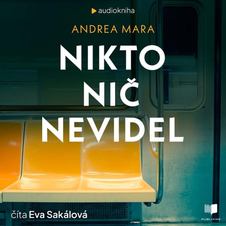 Audiokniha: Nikto nič nevidel